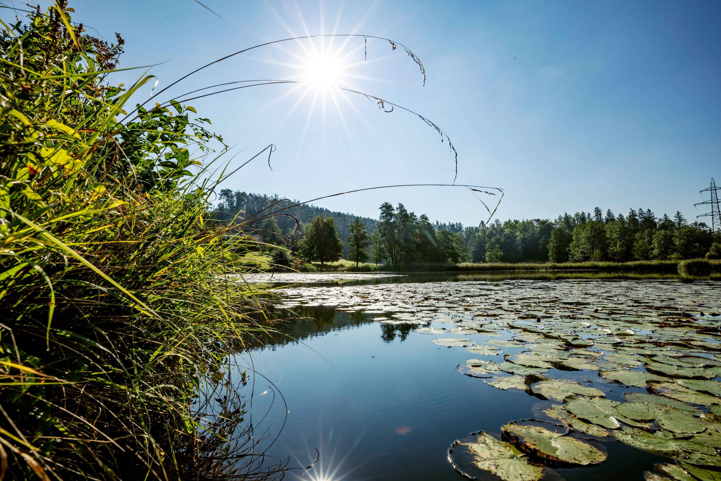 Vollbreitengalerie 5