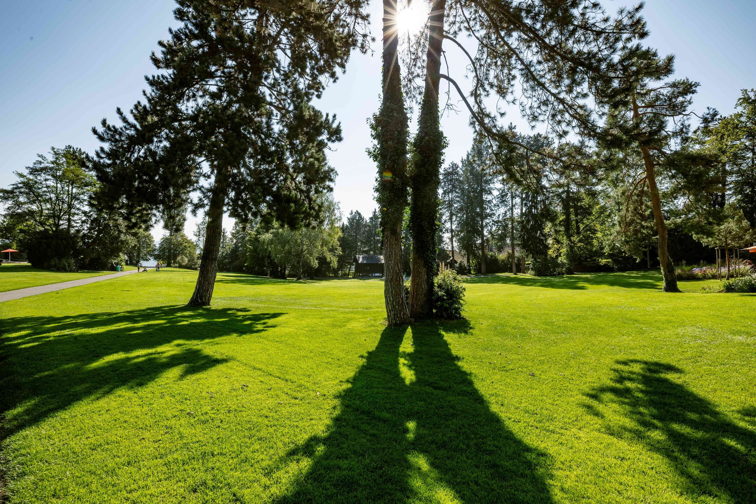 Vollbreitengalerie 5