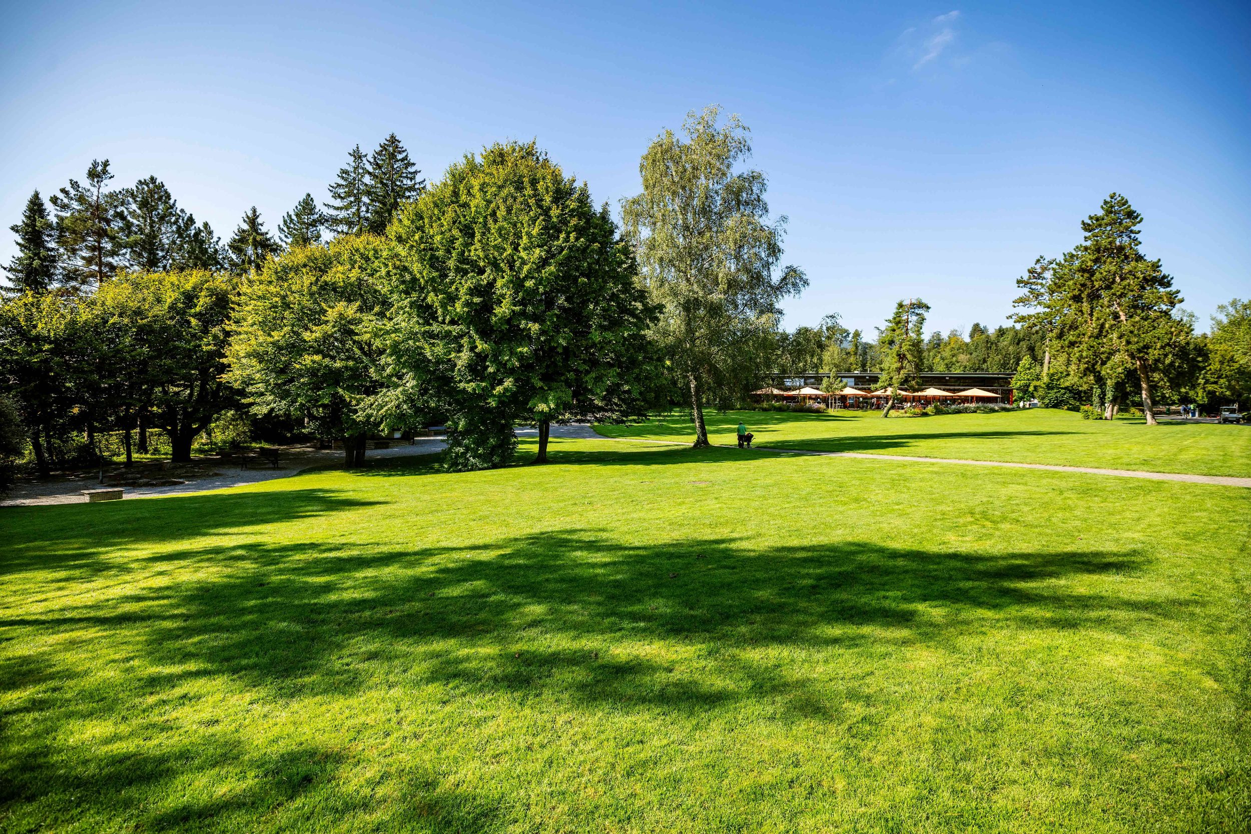 Vollbreitengalerie 5